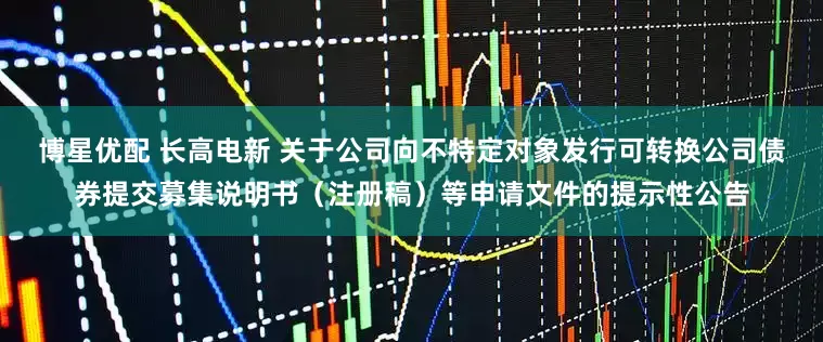 博星优配 长高电新 关于公司向不特定对象发行可转换公司债券提交募集说明书（注册稿）等申请文件的提示性公告